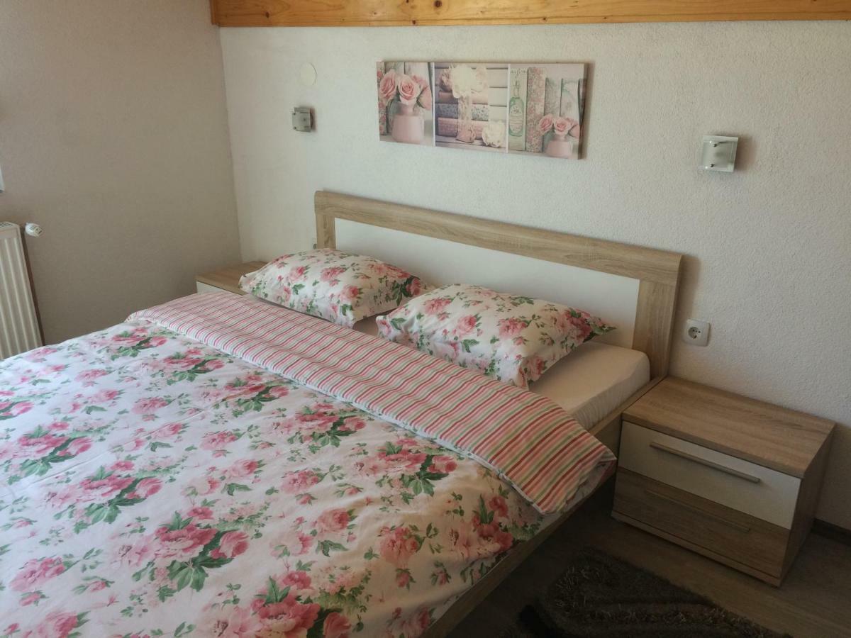 Guest House Jagoda Rakovica Exterior photo